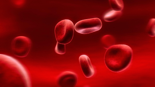 Anaemia Red Blood Cell Count