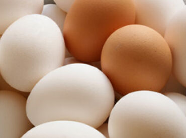 Eggs and Hair Health