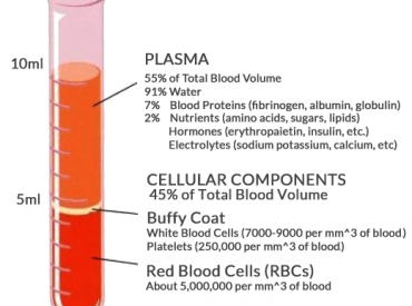 Platelet Rich Plasma Therapy PRP for Hair Loss The Belgravia Centre Hair Loss Clinic Blog