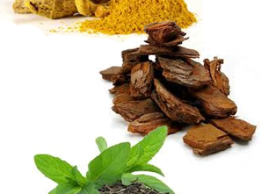 Turmeric Pine Bark and Green Tea