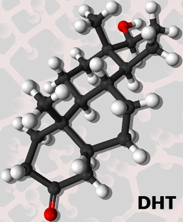 Dihydrostestosterone DHT diagram