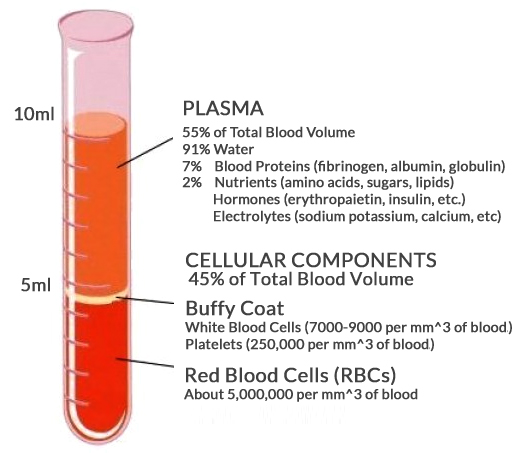 Platelet Rich Plasma Therapy (PRP)