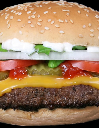 Burger junk food hair loss diet