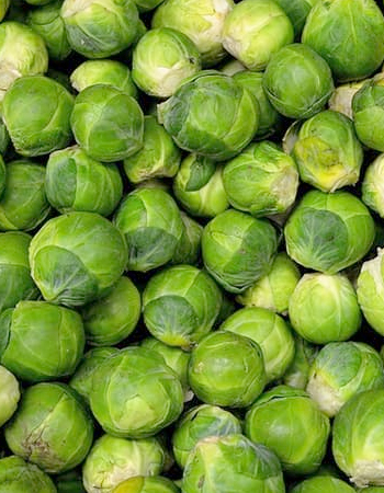 Brussels Sprouts for Healthy Hair Growth