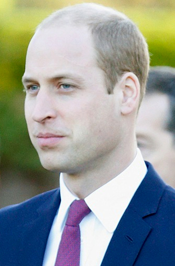 Prince William 2016