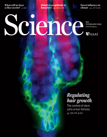 Science Magazine - Age-Related Hair Loss Discovery Cover