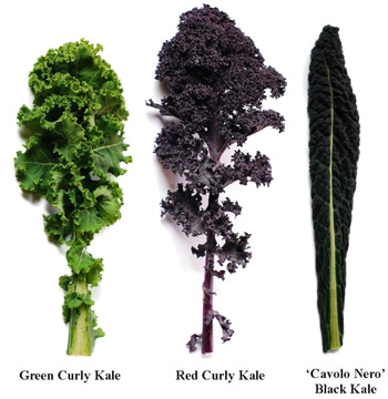 Kale and Other Green Vegetables May Cause Hair Loss
