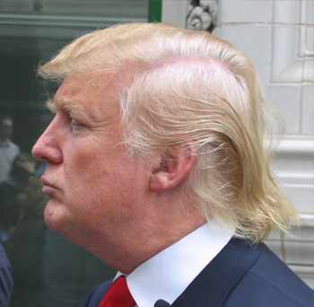 Could Donald Trump's Hair Loss Halt his Presidential Bid?