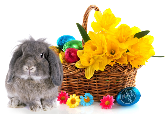 Easter Opening Hours at The Belgravia Centre Hair Loss Clinics - London