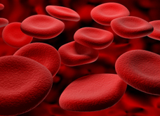 red-blood-cells 2