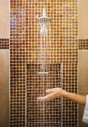 Can Shower Filters Reduce PPM?