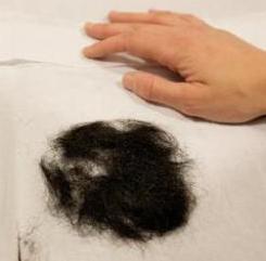 A Clump of Elvis Presley's Hair Is To Be Auctioned
